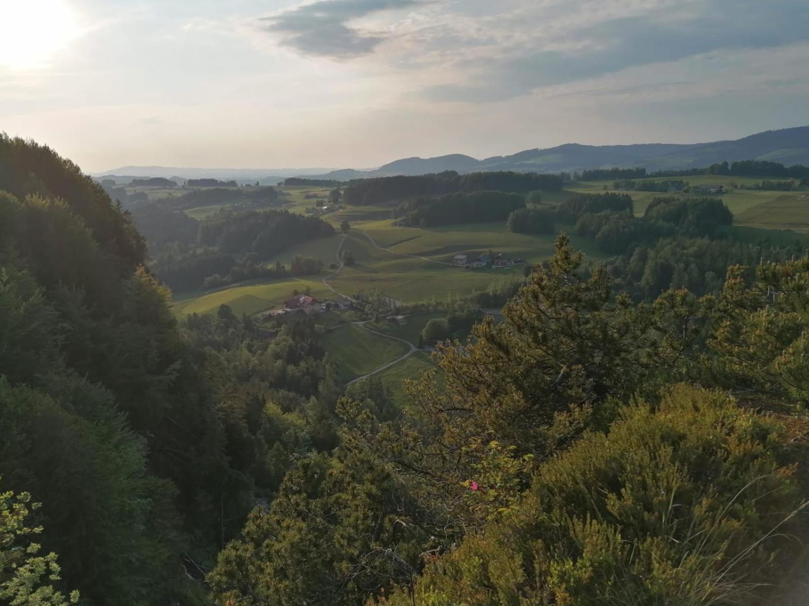 Leitingerhof Villa Талгау Екстериор снимка