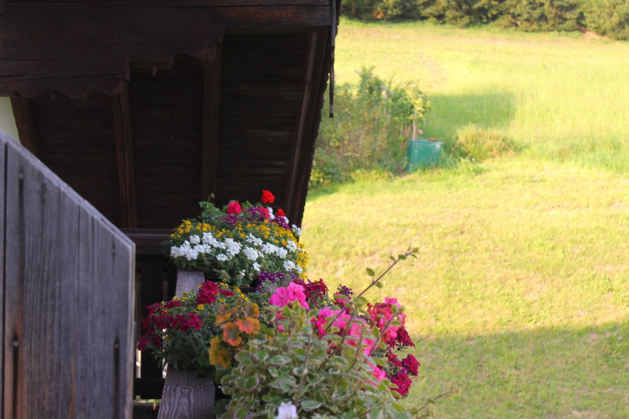 Leitingerhof Villa Талгау Екстериор снимка